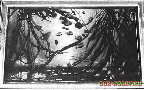 Рис. 1. Аквариум-картина.